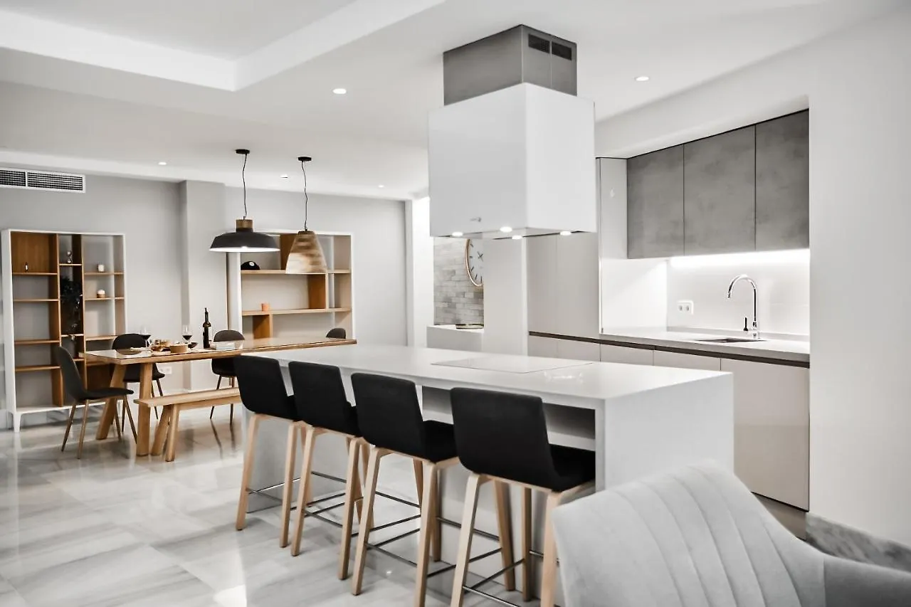 Apartment Ho Paseo De Almeria 45 By Olivencia